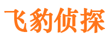 八公山婚外情调查取证